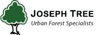 Joseph Tree Service