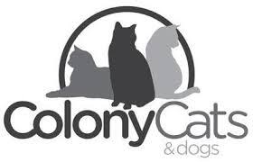 Colony Cats And Dogs
